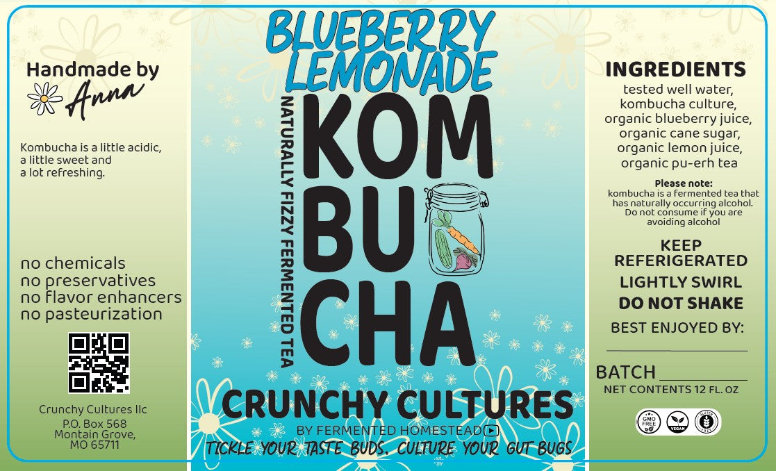 Blueberry Lemonade Kombucha